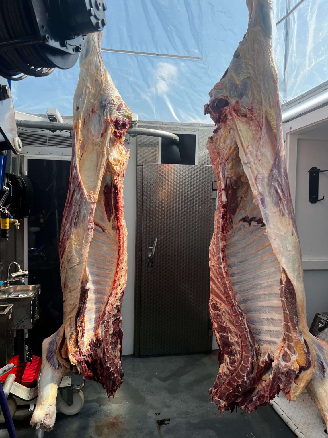 hoof-mobile-schlachtung-schlachtung-2